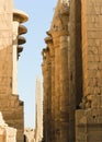 Vertical shot of the columns of the Karnak Temple Complex. Luxor, Egypt.