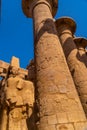 Vertical shot of the columns and statues of the Temple of Kom Ombo under the sunlight in Egypt