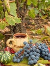 Vertical shot of the concord grapes, wine, and pumpkin on a red tablecloth