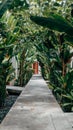 Vertical shot of a concrete pathway with green plants on the sides Royalty Free Stock Photo