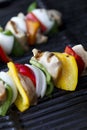 Chicken kabob cooked angle Royalty Free Stock Photo
