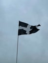 Vertical shot of the Cornwall flag waving in the sky