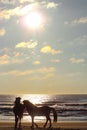 Vertical shot of a couple of wild horses walking on a sandy beach with shiny sunset sky Royalty Free Stock Photo