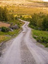 Vertical shot of a cow standing at the middle of a dirt road with a mountain in the background