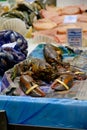 Vertical shot of crabs and other seafood on the shelves of a food market