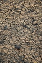 Vertical shot of cracked ground, cool for texture Royalty Free Stock Photo