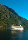 Vertical shot of Cruiseferry ship in the sea with green mountains in the background