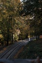 Vertical shot of a curve railroad in Stromovka forest park in Prague City, Czech Republic