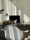 Vertical shot of a cute cat sleeping on an open laptop on a work desk Royalty Free Stock Photo