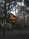 Vertical shot of cute cozy treehouse in the forest