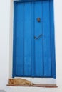 Vertical shot of a cute ginger cat lying under a blue wooden door Royalty Free Stock Photo
