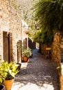 Vertical shot of a cute sunny stone alley with green plants in Castelnou, France