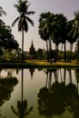 Vertical shot of dark gree palm trees near a pond