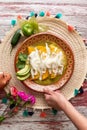 Vertical shot of delicious Mexican green enchiladas with sour cream and cheese, in a red bowl