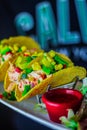 Vertical shot of delicious Mexican tacos served on a metal holder with sauce Royalty Free Stock Photo