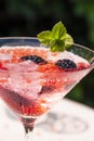 Vertical shot of delicious molecular cocktail with blackberries on a table Royalty Free Stock Photo