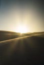 Vertical shot of a deserted landscape with a clear sky at sunset