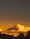 Vertical shot of a distant hot air ballon above clouds and trees during a golden sunset