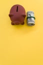 Vertical shot of dollar bills and a piggy bank on a yellow surface Royalty Free Stock Photo