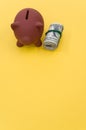 Vertical shot of dollar bills and a piggy bank on a yellow surface Royalty Free Stock Photo