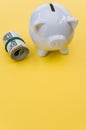 Vertical shot of dollar bills and a piggy bank on a yellow surface Royalty Free Stock Photo