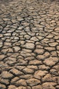 Vertical shot of dried dirt