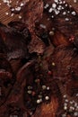 Vertical Shot of Dried Peppered Beef Jerky Royalty Free Stock Photo
