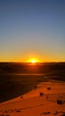 Vertical shot of dunes with footprints on the sand on the background of a golden sunset Royalty Free Stock Photo