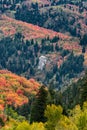 Vertical shot of an elephant rock in Bountiful, Utah, the USA in a fall composition