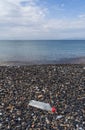 Vertical shot of an empty plastic bottle on a pebble beach, the concept of plastic pollution. Royalty Free Stock Photo