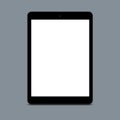 Vertical shot of empty screen touchpad against grey background for your promotional content or advertisement. Blank tablet