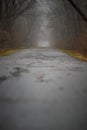 Vertical shot of an empty walking path surrounded by the trees Royalty Free Stock Photo