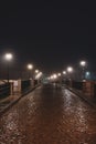 Vertical shot of the empty wet road illuminated by street lamps at night. Royalty Free Stock Photo