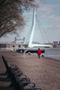 Vertical shot of the Erasmus bridge. Rotterdam, Netherlands Royalty Free Stock Photo