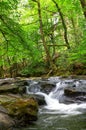 Vertical shot of the Erme river in south Devon, England