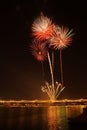 Vertical shot of the exploding colorful fireworks over the lake shore in the night sky Royalty Free Stock Photo