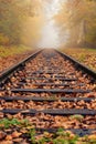 Vertical shot of fallen leaves on a railway track through a misty forest Royalty Free Stock Photo