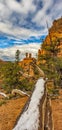 Vertical Shot Of A Fallen Tree Bark At The Red Canyon In The Dixie National Forest, Utah, USA