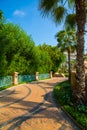 Vertical shot of a fancy garden in Dubai