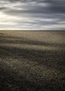 Vertical shot of a farm field under a gloomy sky Royalty Free Stock Photo