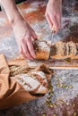 Vertical shot female hands cut freshly baked sourdough bread with sunflower and pumpkin seeds on a brown napkin. Ears of wheat Royalty Free Stock Photo