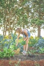 Vertical shot of a female harvesting fresh vegetables in her garden