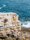 Vertical shot of a female sitting on the cliff in the coastal area in Croatia Royalty Free Stock Photo