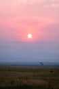 Vertical shot of a field under wildfire clouds in Washoe Valley, Nevada