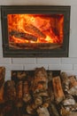 Vertical shot of a fireplace with a stack of dried firewood Royalty Free Stock Photo
