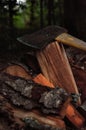 Vertical shot of firewood and axe outdoors Royalty Free Stock Photo