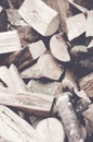 Vertical shot of firewood stack Royalty Free Stock Photo