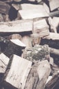 Vertical shot of firewood stack Royalty Free Stock Photo