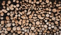 A vertical shot of firewood stack Royalty Free Stock Photo