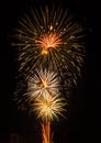 Vertical shot of fireworks